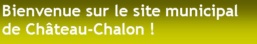 Zone de Texte: Bienvenue sur le site municipal de Chteau-Chalon !